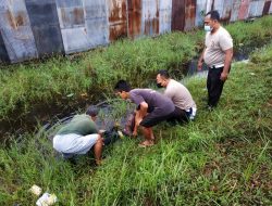Penjaga Kandang Ayam Tewas Tabrak Lari Penjaga Kandang Ayam Tewas Tabrak Lari