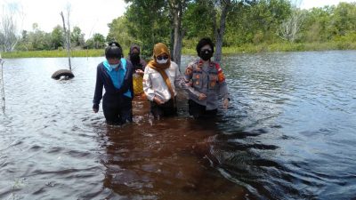 Lahan Pertanian Kalampangan Terendam Air Lahan Pertanian Kalampangan Terendam Air
