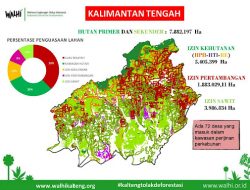 Pengelolaan Lingkungan di Kalteng Buruk Pengelolaan Lingkungan di Kalteng Buruk