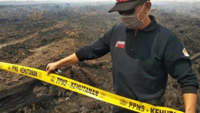 KLHK Menang Gugatan, PT KS Wajib Bayar Rp175 Miliar