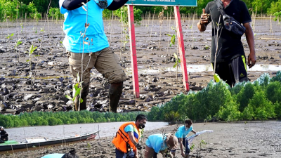 Dukung Program Pemerintah, PT MUTU Gelar Penanaman Mangrove