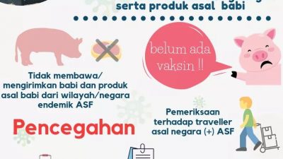 Pemko Palangka Raya Batasi Distribusi Babi