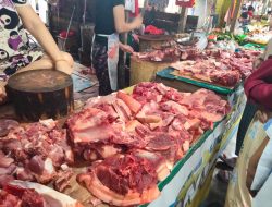 Omzet Pedagang Daging Babi Turun Omzet Pedagang Daging Babi Turun