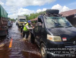 Tumbang Nusa Banjir, Gerombolan Rusa Keluar Hutan