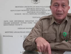 KLHK Incar 113 PBS Bermasalah di Kalteng KLHK Incar 113 PBS Bermasalah di Kalteng