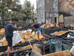 Jago Merah Lalap 2 Rumah di Bahaur Jago Merah Lalap 2 Rumah di Bahaur