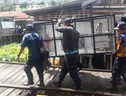Monyet Peneror Warga Gang Tirta Ditangkap