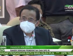DPD RI: Pembahasan RUU IKN Tergesa-gesa