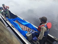 Pekerja Bansaw di Terkam Buaya Ditemukan