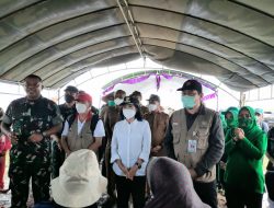 Demplot Padi Percontohan yang Digagas Taty Narang Sukses