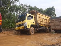 Kerusakan Jalan Pulang Pisau-Bahaur Kian Parah