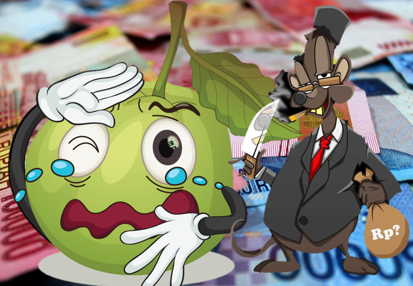 DUGAAN KORUPSI PROGRAM JAMBU KRISTAL-BPK: AUI Sedang Menelaah Informasi Awal