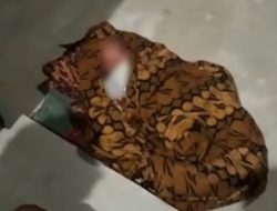 Geger! Penemuan Bayi Laki-laki di Depan Pintu Rumah Warga Pasir Panjang