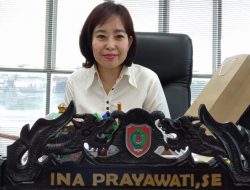 Ina Prayawati Maju di Pilkada Barsel