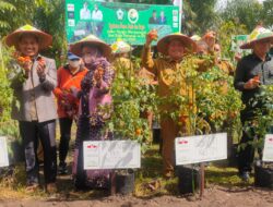 Bupati Ingin Halaman Kantor SOPD Ditanami Sayuran