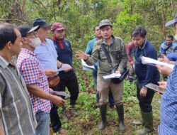 PT WNL dan PT GSM Diduga Tanam Sawit di Luar Izin HGU