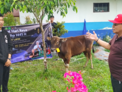 Rektor UPR Dr. Andrie Elia Serahkan Bantuan Hewan Kurban Rektor UPR Dr. Andrie Elia Serahkan Bantuan Hewan Kurban