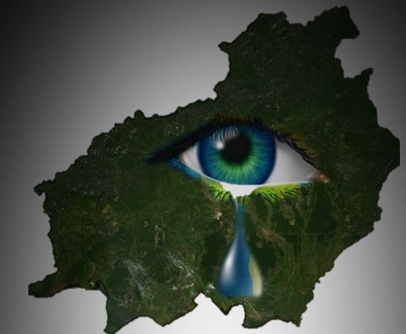 DPR Soroti ‘Pengampunan Dosa’ Perkebunan Ilegal di Kalteng