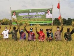 Pemkab Kotim Akan Terus Tingkatkan Indeks Pertanaman