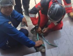 Dinas Damkar Keluhkan Minimnya Peralatan Posko