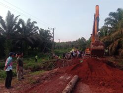 Jembatan Desa Karang Sari-Sumber Makmur Sudah Bisa Dilewati