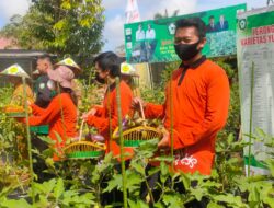 Bupati Dukung Petani Geluti Usaha Hortikultura