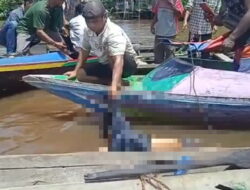 Penjual Sayur Tewas Tenggelam di DAS Murung
