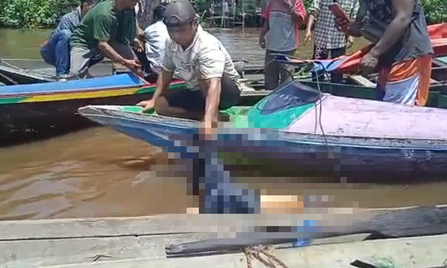 Penjual Sayur Tewas Tenggelam di DAS Murung