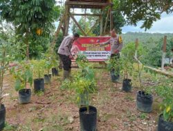 Memperkuat Ketahanan Pangan, Polsek Aruta Bangun Kebun Percontohan 