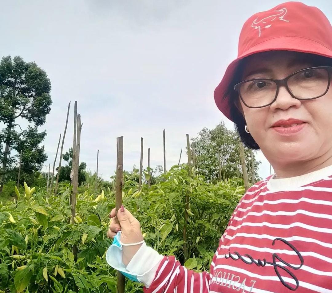 Ketua DPRD Dukung Pengembangan Cabai Rawit di Kotim