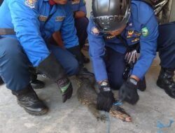 Dorong Pembangunan Pos Damkar di Kecamatan Dorong Pembangunan Pos Damkar di Kecamatan