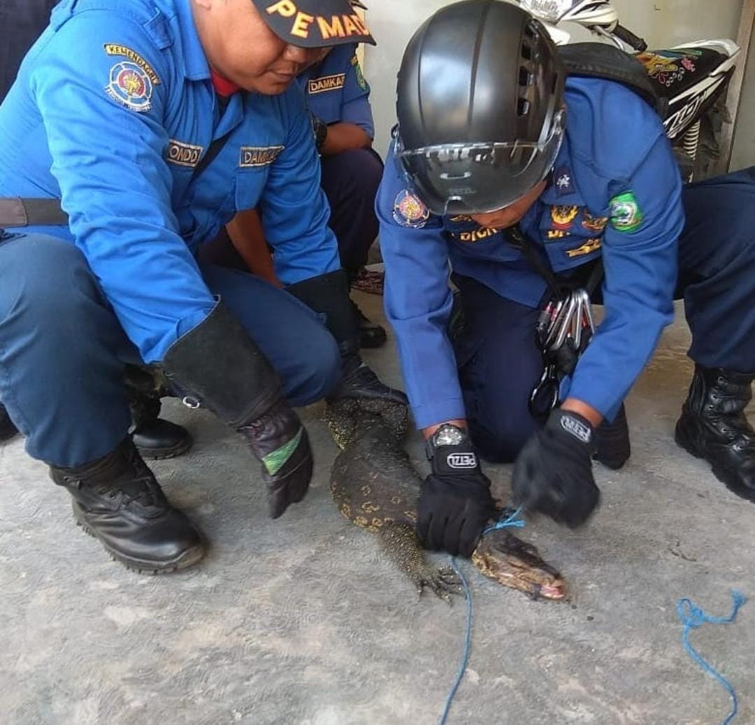 Dorong Pembangunan Pos Damkar di Kecamatan
