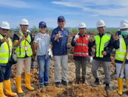 HARI MENANAM POHON INDONESIA-PT Korintiga Hutani Kerahkan Karyawan Menanam Pohon 