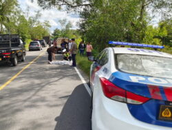 Pejalan Kaki Tewas Disambar Pikap Pejalan Kaki Tewas Disambar Pikap