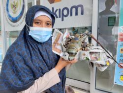 Penerapan Permen KP No 16 Tahun 2022 Tentang Pengelolaan Lobster Kepiting dan Rajungan