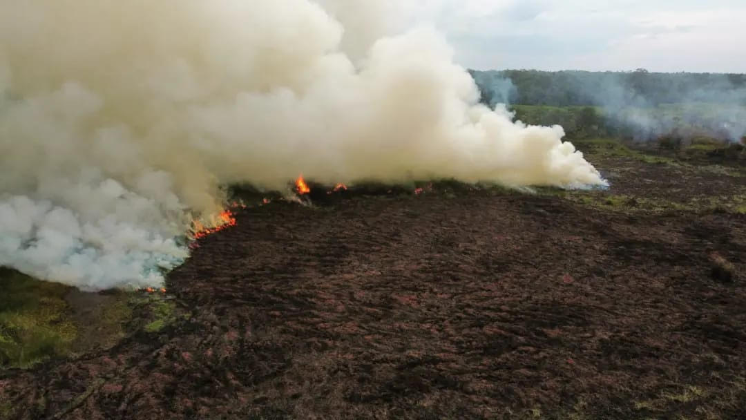 Karhutla di Desa Pamait Berhasil Dipadamkan