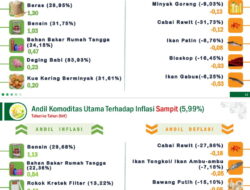 Daging Babi Sumbang Inflasi di Kalteng