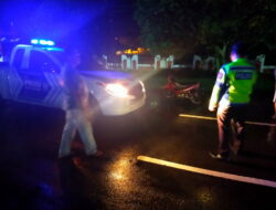 Pengendara MX King Tewas Usai Tabrak Pikap BPBD Kalteng Pengendara MX King Tewas Usai Tabrak Pikap BPBD Kalteng