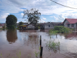 Ratusan Rumah di Palangka Raya Terendam Banjir