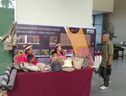 Usaha Madu Kelulut Berpeluang Besar