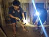 Mangsa Ayam, 2 Piton Dievakuasi Tim ERP dan DPKP 