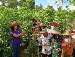 Warga Perlu Teladani KWT Mawar Danau Usung Warga Perlu Teladani KWT Mawar Danau Usung