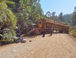 Hilux vs Truk Logging, 5 Tewas Hilux vs Truk Logging, 5 Tewas