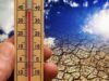 Suhu Panas Akibat Kerusakan Hutan