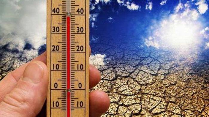 Suhu Panas Akibat Kerusakan Hutan