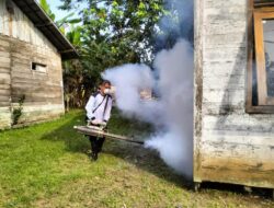 Waspada! Satu Warga Pulpis Terserang DBD