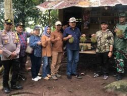 ‘Menyandau Durian’ Kearifan Lokal Masyarakat Arut Utara 