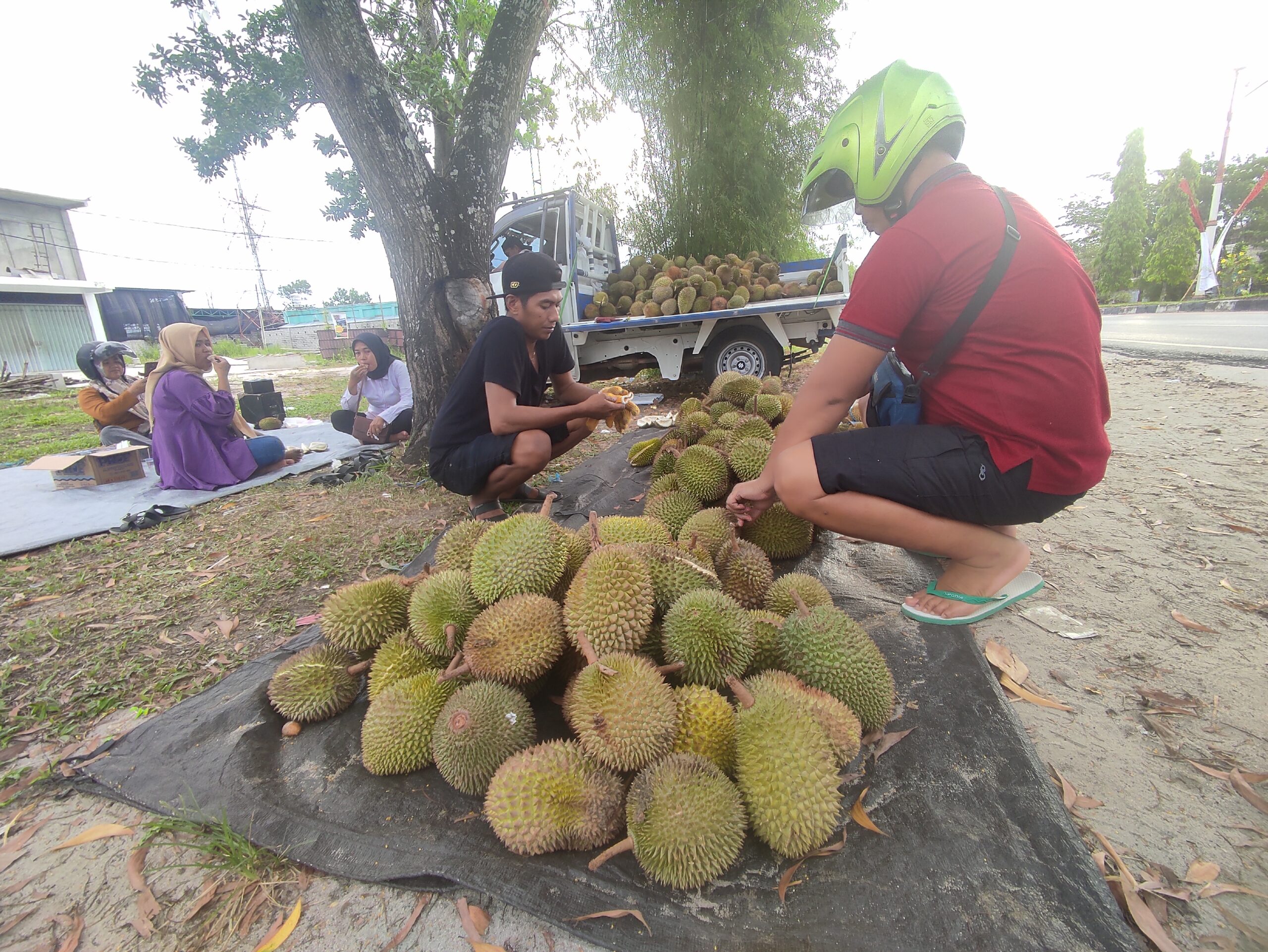 Mendadak, Palangka Raya Dihujani Durian