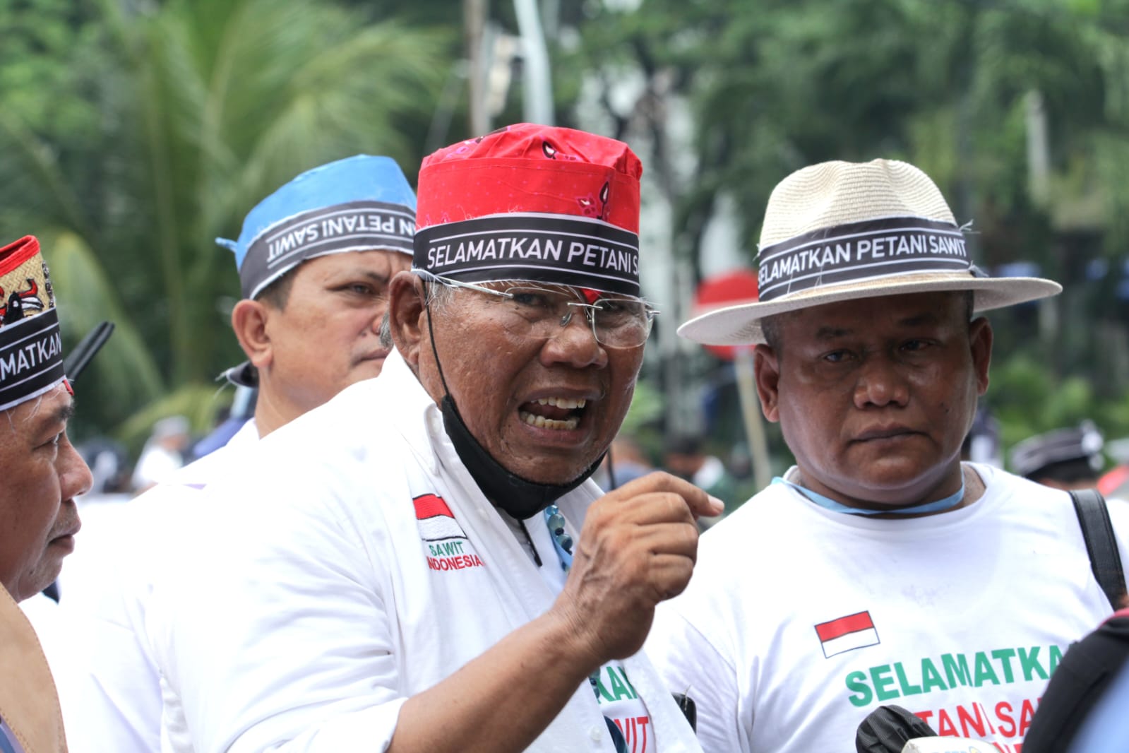 SENGKARUT TATA KELOLA SAWIT-Petani Kalteng Berterima Kasih dengan Resolusi Pemerintah