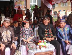 Bupati Pulpis Sambut Kedatangan Wagub Kalteng